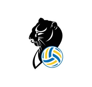 BAC Technology Official Supplier dell'Imoco Volley